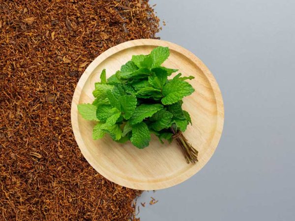 اسانس تنباکو نعناع