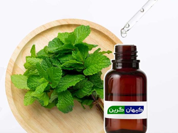 اسانس نعناع