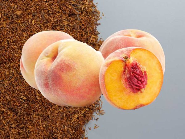 اسانس تنباکو هلو