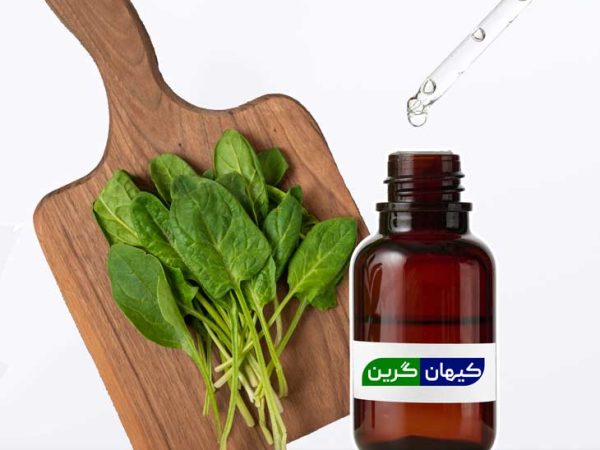 اسانس ریحان